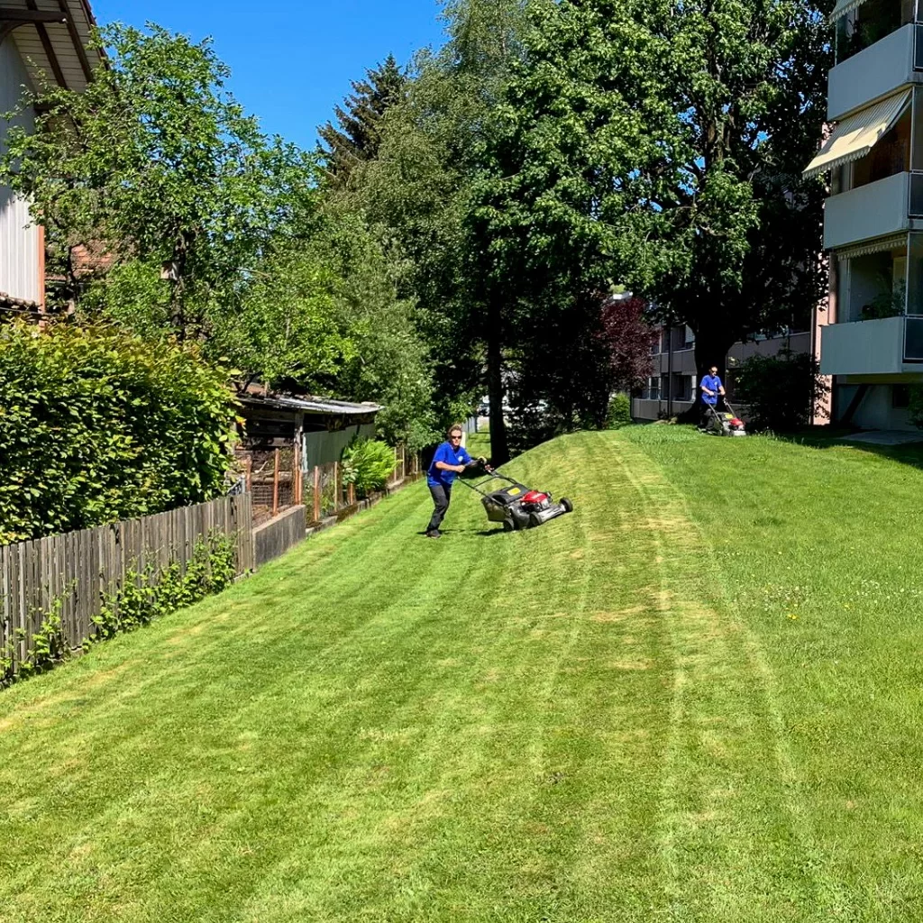 Gashi Hauswartdienst AG | Dienstleistungen | Abwartsarbeiten und Gartenpflege | Asylstrasse Langnau