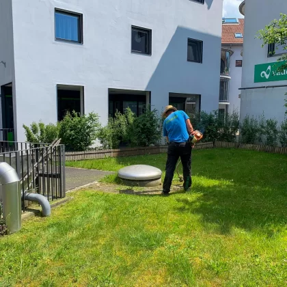 Gashi Hauswartdienst AG | Dienstleistungen | Abwartsarbeiten und Gartenpflege | Langnau