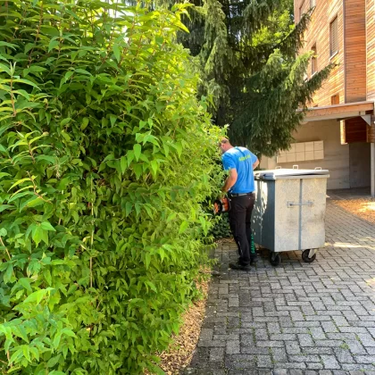 Gashi Hauswartdienst AG | Dienstleistungen | Abwartsarbeiten und Gartenpflege | Langnau