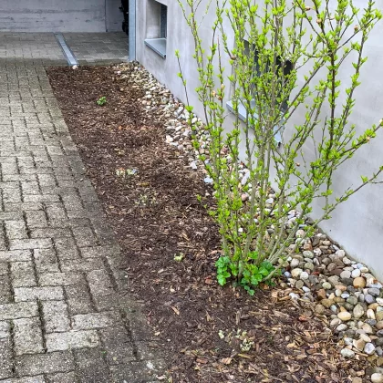 Gashi Hauswartdienst AG | Dienstleistungen | Abwartsarbeiten und Gartenpflege | Langnau