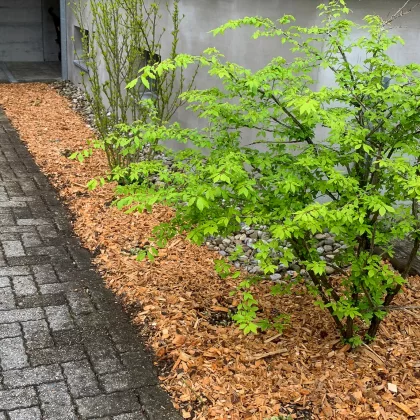 Gashi Hauswartdienst AG | Dienstleistungen | Abwartsarbeiten und Gartenpflege | Langnau