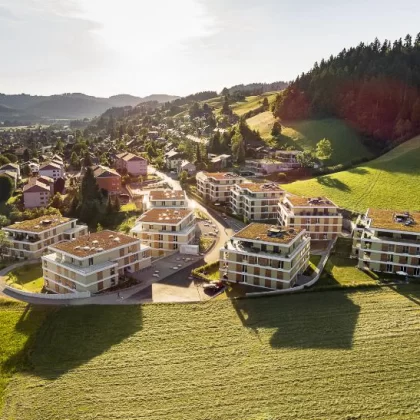 Gashi Hauswartdienst AG | Dienstleistungen | Unterhaltsreinigung | Sonnenarena Langnau